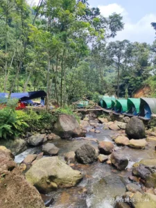 Lembah Daun Riverside
