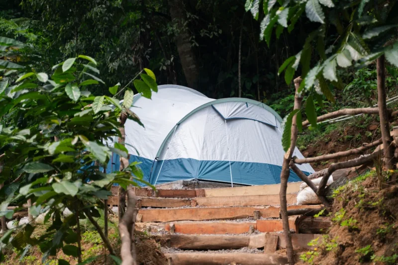 Promo Glamping Bulan Ini (November)