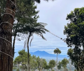 Glamping Puncak View