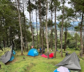 Glamping Puncak View