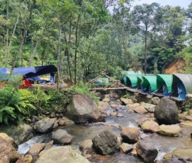 Lembah Daun Riverside
