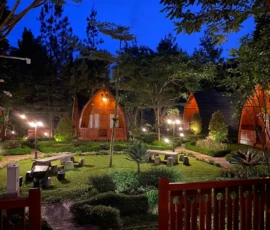 Camp De Katarina CAmping